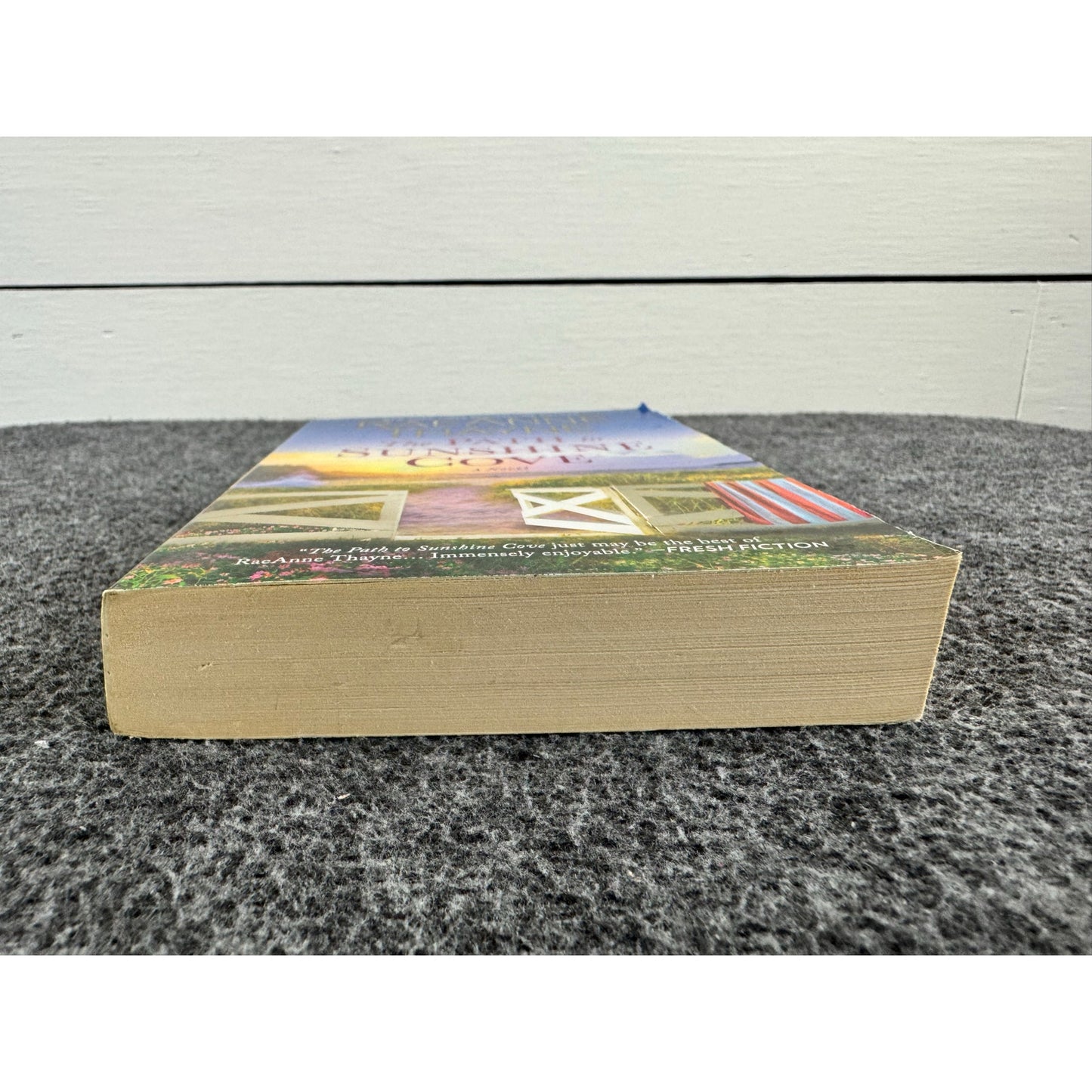 The Path to Sunshine Cove by RaeAnne Thayne (Paperback)