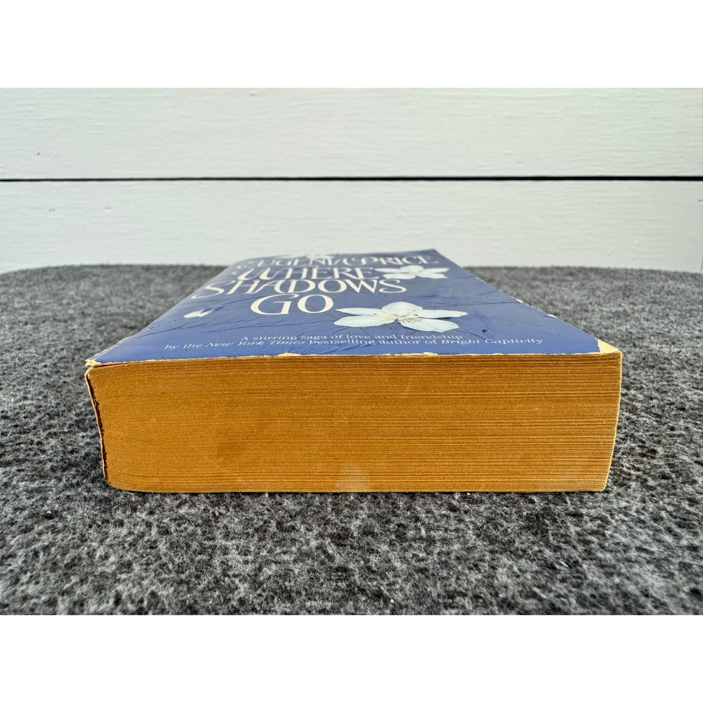 Where Shadows Go by Eugenia Price (Paperback)