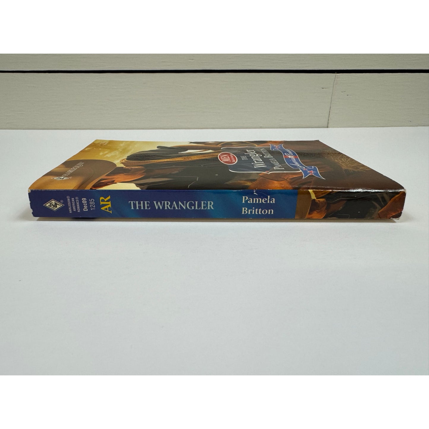 The Wrangler by Pamela Britton (Paperback)